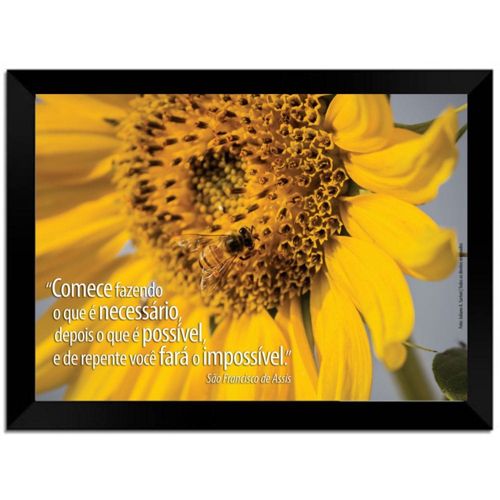 Quadro Decorativo Frases Girassol Com Moldura E Vidro