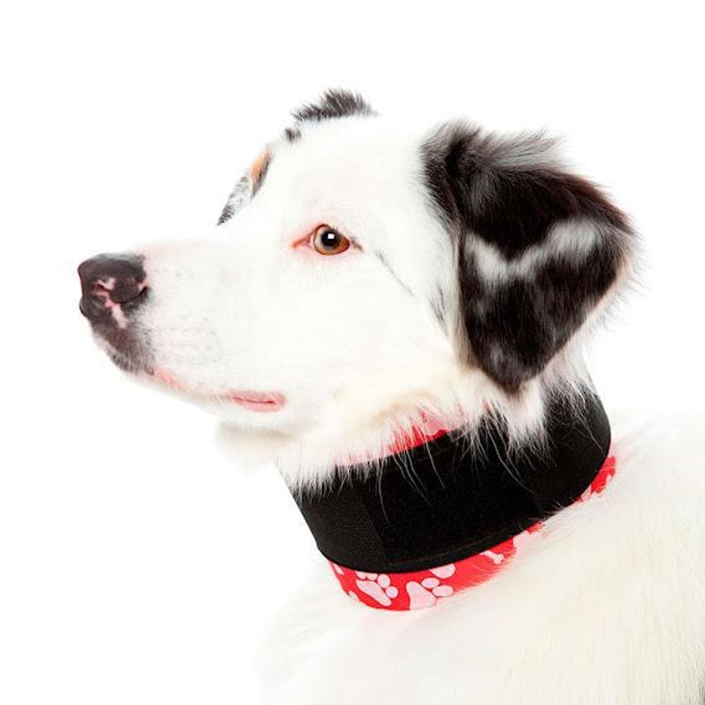 Colar Cervical Pet Med N° 5