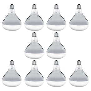 Lâmpada Secagem 250W E27 Kit 10 Lâmpadas - 220V