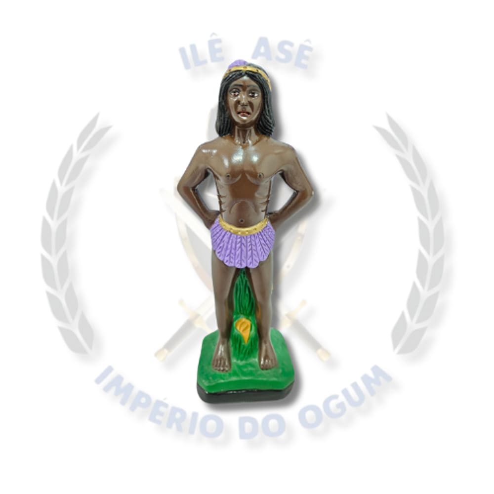 Imagem De Gesso 20Cm - Caboclo Pena Roxo