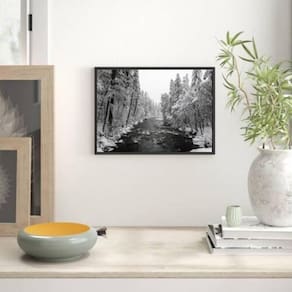 Quadro Fotografia Floresta Com Neve 33X24 Com Vidro - Preta