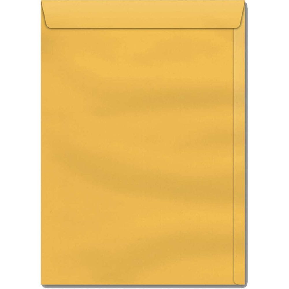 Envelope Saco Ouro 176X250 80Grs.