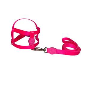Coleira Peitoral Neon Para Cães Tradicional 15Mm - Rosa Nº4