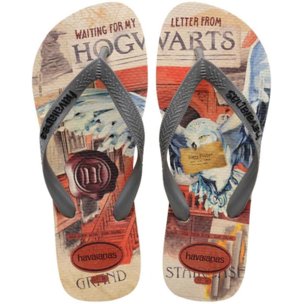 Chinelo Havaianas Top Warner Classics Masculino - Bege e Cinza