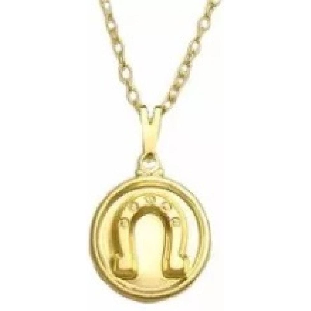 Colar Cordão Ferradura Country Folheado Ouro 18k