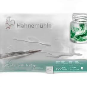 Bloco Hahnemuhle 300G/M2 Satinada 17,8X25,4Cm 12 Folhas