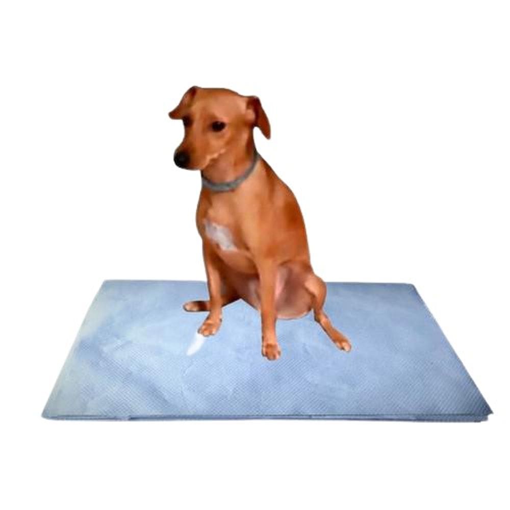Jornal Pet 56 Folhas Grande Tapete Higiênico Mundo Pet 1Kg