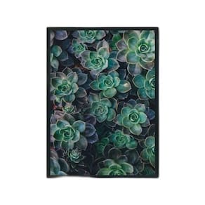 Quadro Fotografia Suculentas 33X24Cm - Vidro Moldura Preta