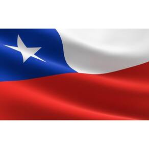 Bandeira Oficial Chile 90x128cm - Poliéster Oxford