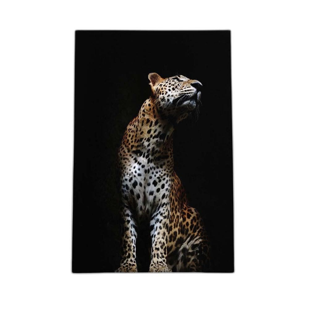 Onça Pintada Fotografia Minimalista Quadro Canvas 60X40Cm