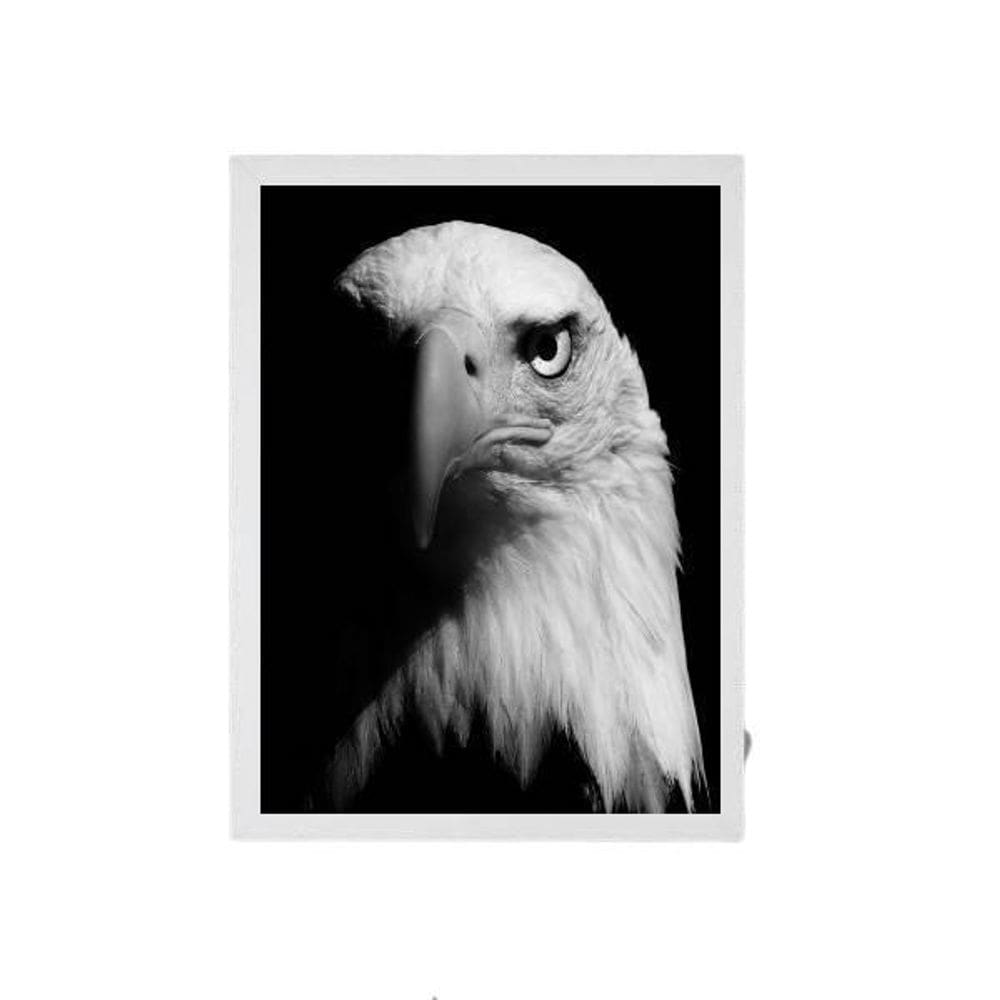 Quadro Decorativo Fotografia Águia Moldura Branca 24X18Cm