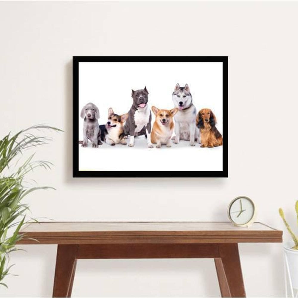 Quadro Decorativo Turma Pet