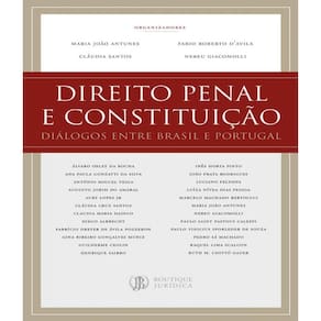 Livro Direito Penal E Constituicao - Dialogos Entre Brasil