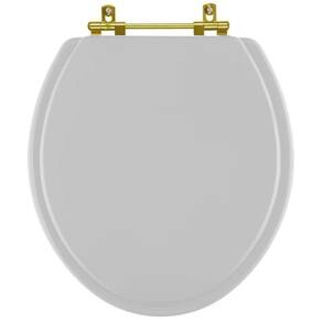 Assento Sanitario Poliéster Convencional Oval Cinza Prata Para Vaso Celite Com Ferragem Dourada