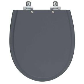 Assento Sanitário Soft Close Polo Cinza Plus Para Vaso Hervy