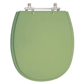 Assento Sanitário Aspen Verde (malva) Para Vaso Deca