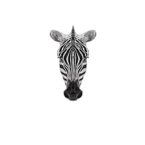Quadro Cabeça De Zebra Geométrica 45X34 C/Vidro - Branca