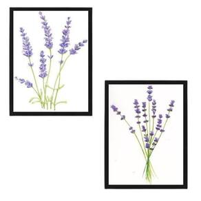 Kit 2 Quadros Decorativos Ramos Lavanda 33X24 C/Vidro Preta
