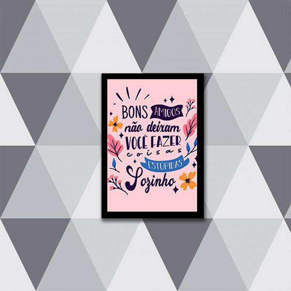 Quadro Amigos E Coisas Estúpidas 24X18Cm