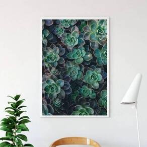 Quadro Fotografia Suculentas 24X18Cm - Com Vidro