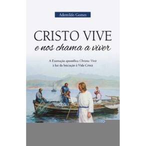Cristo Vive e Nos Chama a Viver - a Exortação Apostólica Christus Vivit à Luz Da Iniciação à Vida Cr