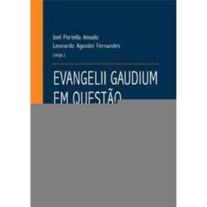 Evangelii Gaudium Em Questão: Aspectos Bíblicos, Teológicos e Pastorais