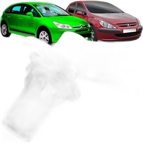Sensor De Rotação Peugeot 307 407 Vitara C4 C5 Xsara Picasso