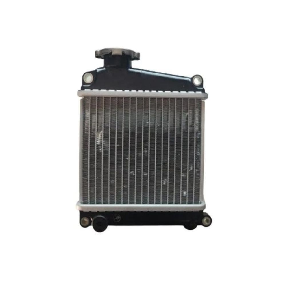 Honda Lead110 Radiador Genuíno 19010Gfmm01