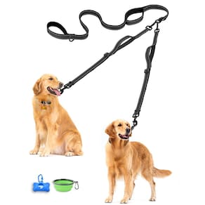 Coleira dupla para cães PetBonus, treinamento de caminhada reflexivo, preta