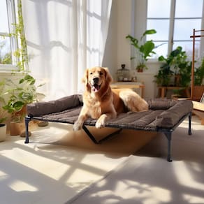 Cama para cães Veehoo Cooling Elevated com almofada impermeável XL