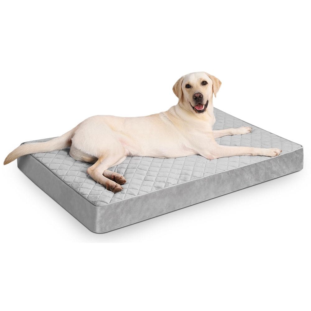 Cama ortopédica para cães NUPIDA impermeável para cães extra grandes