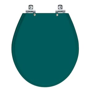 Assento Sanitário Soft Close Carina Verde Amazonia Para Vaso Ideal Standard