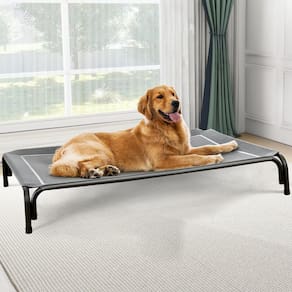 Cama elevada para cães Czpalo para cães extra grandes de até 54 kg