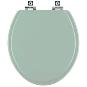 Assento Sanitário Soft Close Evolution Verde Claro Para Vaso Santamarina