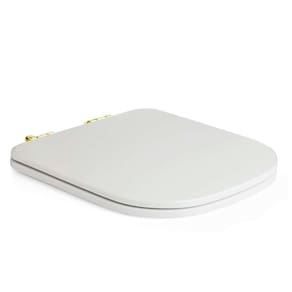 Assento Poliester Soft Close Quadra Branco Para Vaso Deca Com Ferragem Dourada