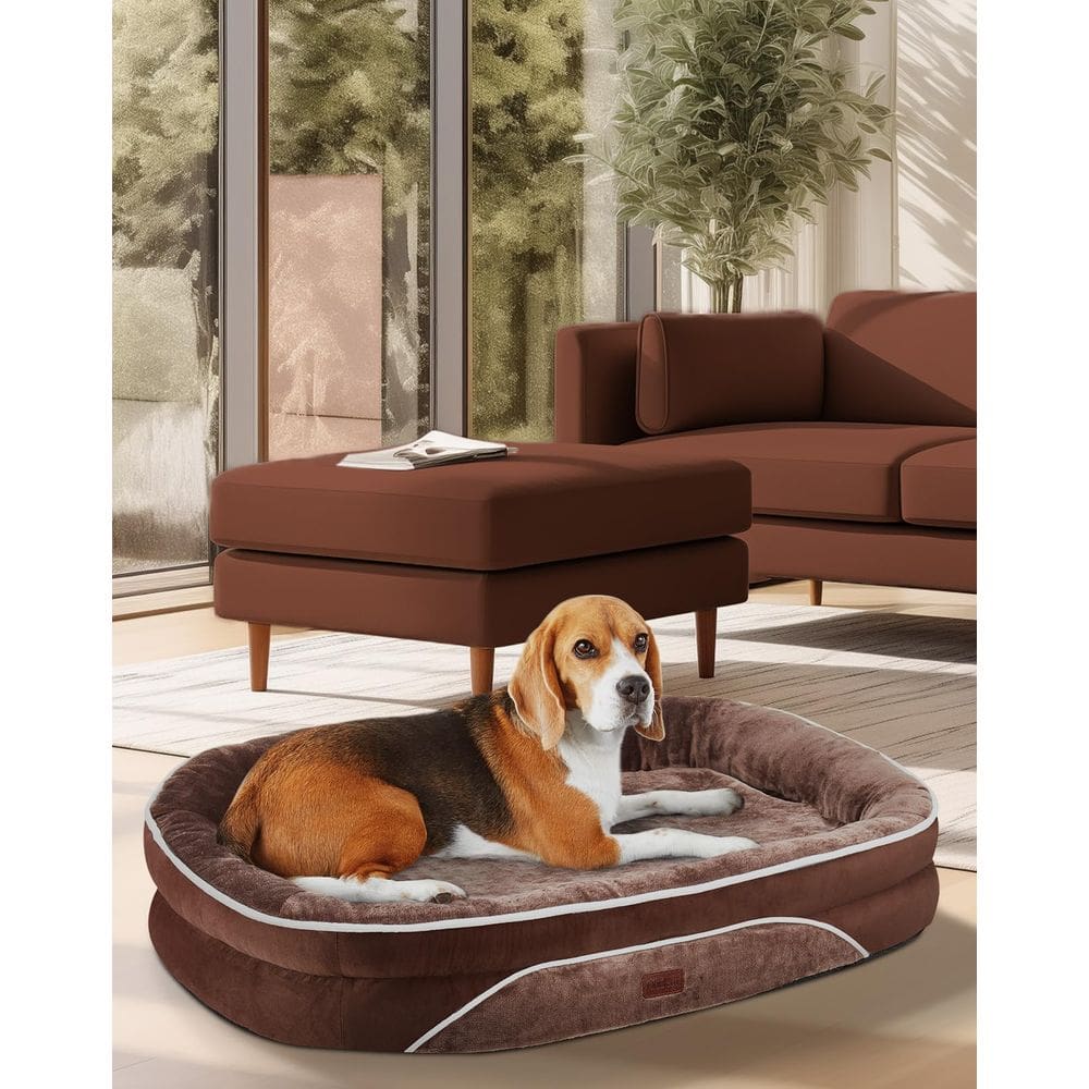 Sofá para cães Hogeni, cama ortopédica grande para animais de estimação, 35 polegadas, marrom