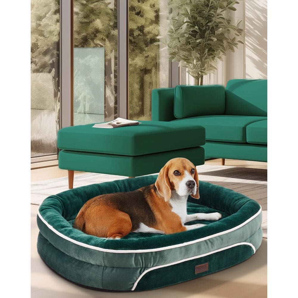 Sofá para cães, cama ortopédica grande para animais de estimação, 35 polegadas, verde escuro