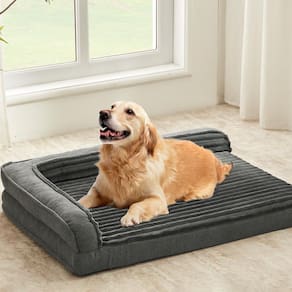 Cama ortopédica para cães WINDRACING impermeável para cães grandes, cinza