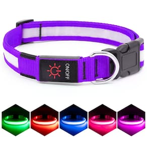 Coleira LED para cães VIZPET ajustável USB recarregável roxa