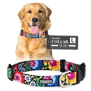 Coleira de cachorro Lucky Love Dog Blackbird para cães pequenos a grandes