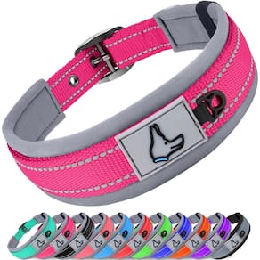 Coleira de cachorro Joytale acolchoada de neoprene ajustável para cães médios