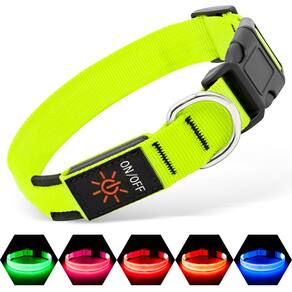 Coleira LED para cães, luz de segurança recarregável Illumifun, verde