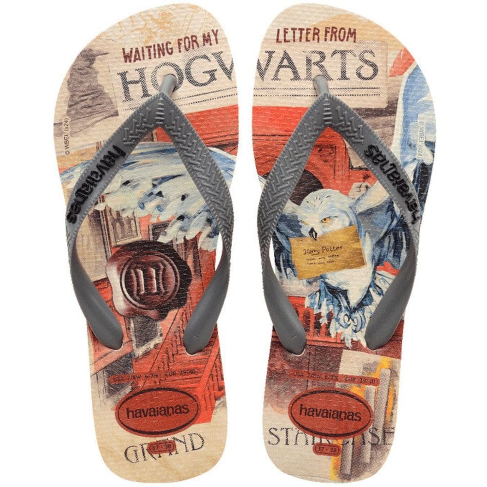 Chinelo Dedo Unissex Casual Dia a Dia Praia Passeio Havaianas Top Warner Classic