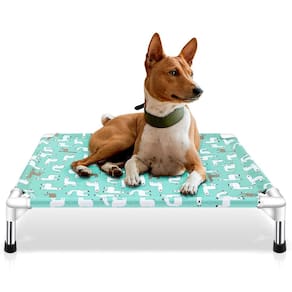 Cama elevada para cães Modorki para cães médios em ambientes internos/externos