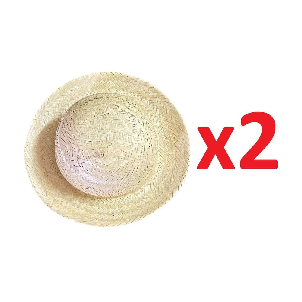 2 Un Mini Chapéu Palha Festa Caipira 25,5Cm São João Junina