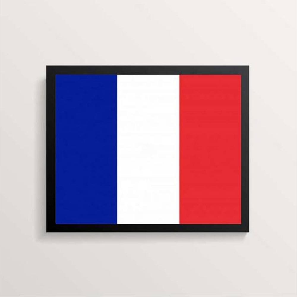 Quadro Decorativo Bandeira França 45X34Cm