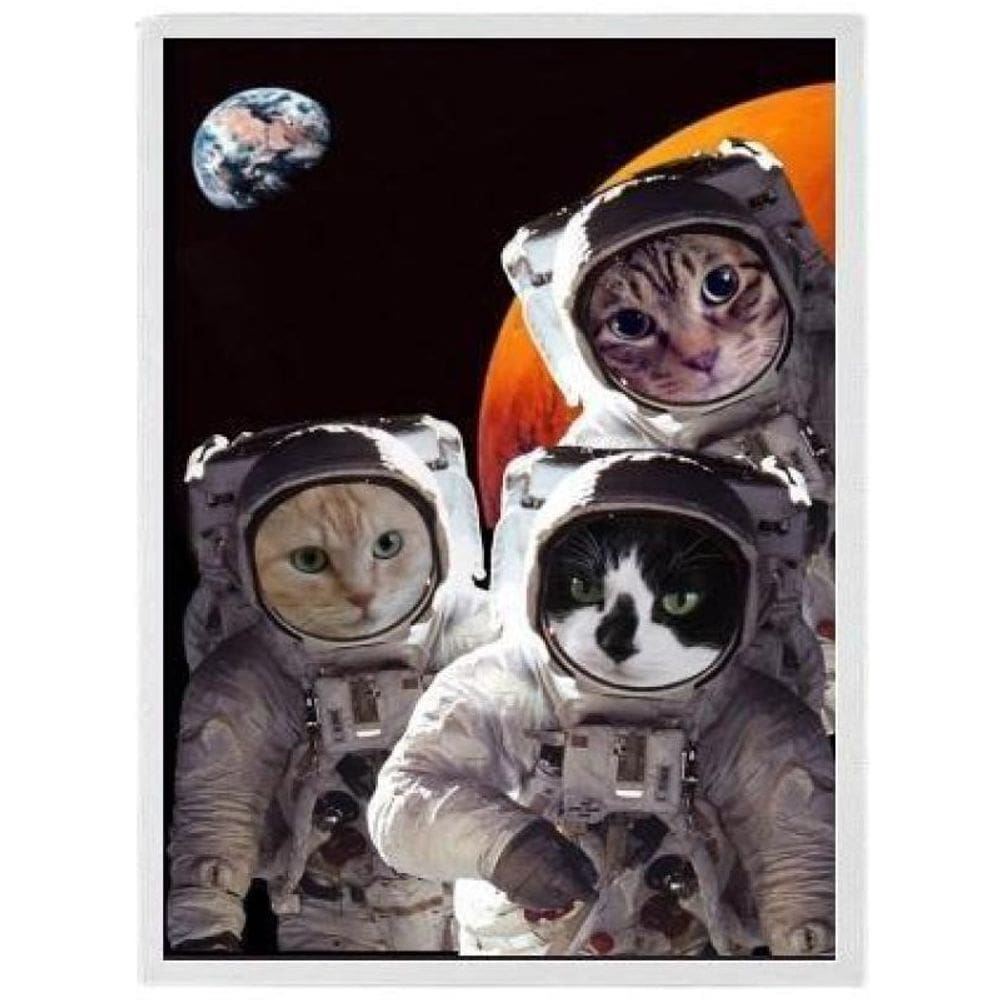 Quadro Decorativo Gatos Astronautas 33X24Cm - Madeira Branca
