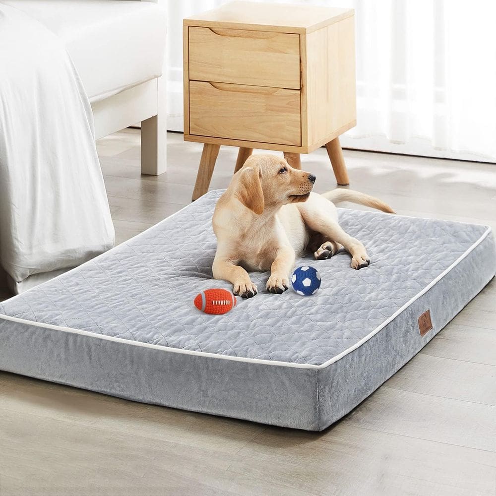 Cama ortopédica para cães WNPETHOME para cães grandes à prova d`água XL
