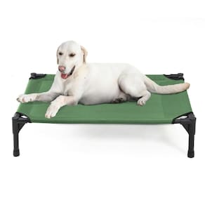 Cama elevada para cães Garnpet Heavy Duty para cães grandes, verde