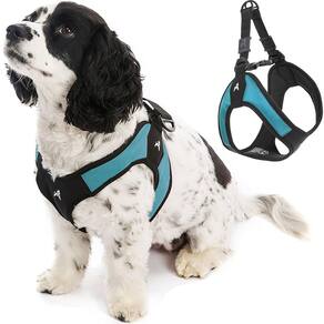 Arnês Gooby Turquoise X-Small, fácil de ajustar para cães pequenos